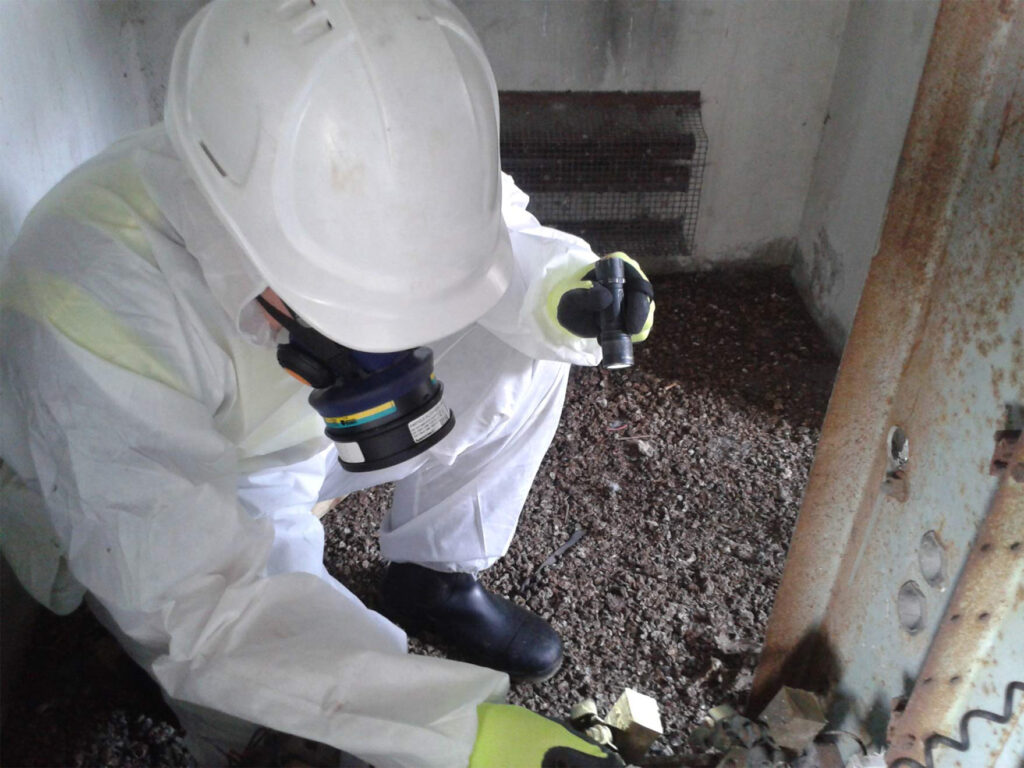 asbestos testing services